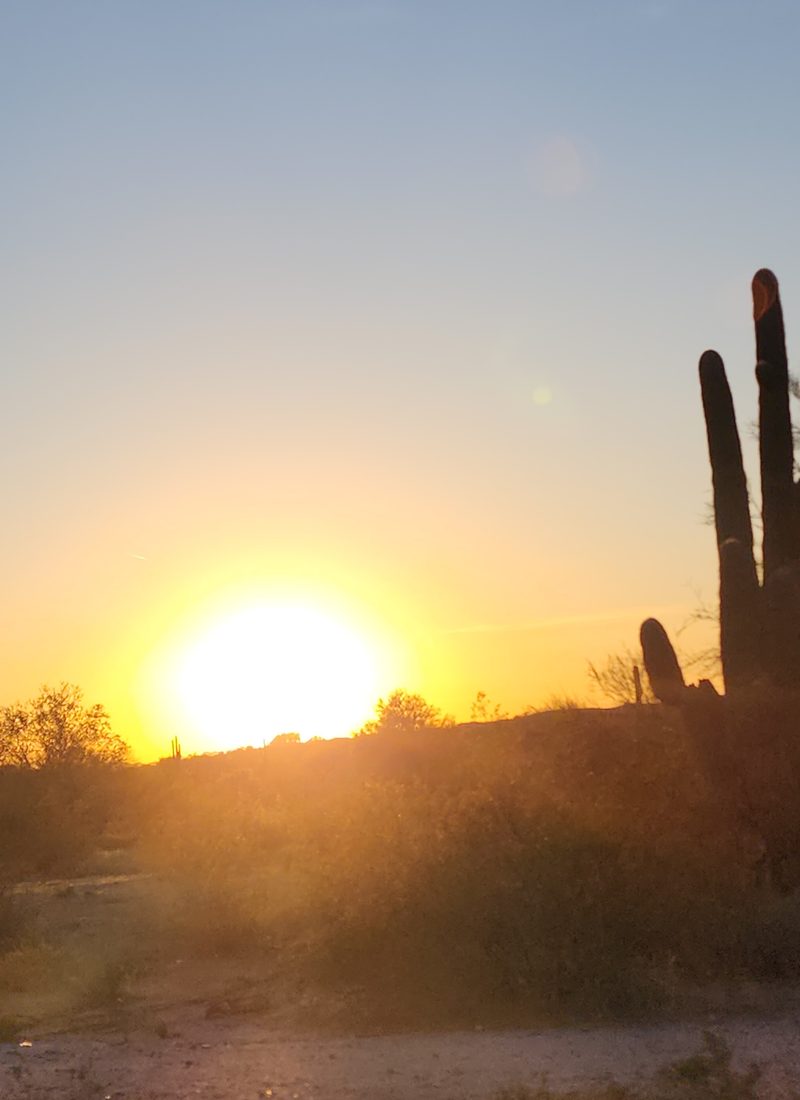 Our First Spring Break in Arizona: A Desert Adventure