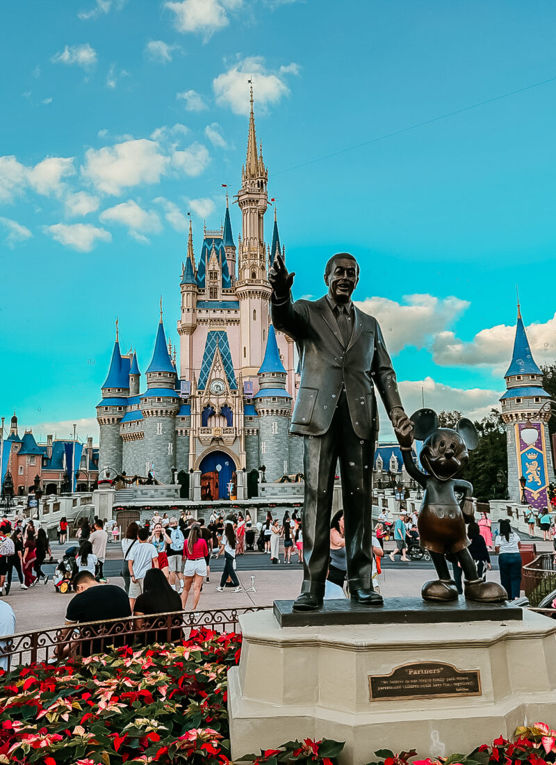 Reasons to Use a Travel Advisor for Disney Vacations?